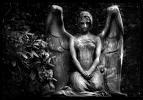 20080119220055-siniestro.jpg