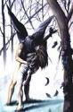 20080124171052-vampiros.jpg