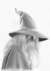 20080302171020-gandalf.jpg